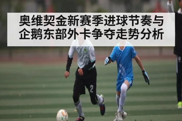 奥维契金新赛季进球节奏与企鹅东部外卡争夺走势分析 - kaiyun